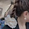 Elaborate Lace Hair Tie for Women Ponytail Holder Cute Scrunchies Beige Hollow Out Hair Rope Hair Tie  Black