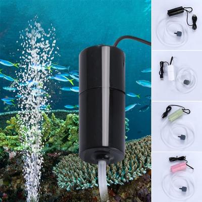 Vissen en zeedieren – Aquarium onderhoud