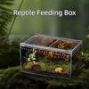 Reptile – Terarii pentru reptile