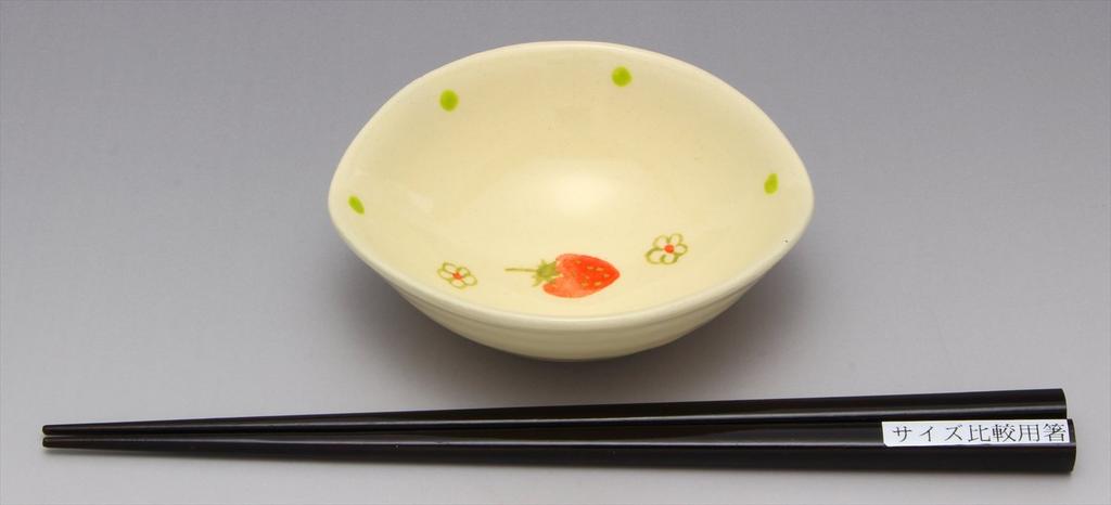 SOUSEN Seto Ware Gift Set of 5 White Medium Plates with Strawberry Boxed Patterns,