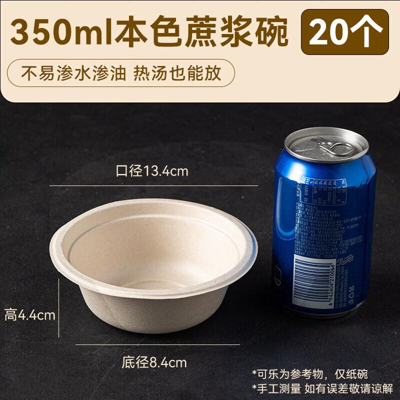Biodegradable Disposable Sugarcane Pulp Plates