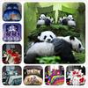 Juego de Cama Panda Animal 3D Tamaño Queen Twin Funda Nórdica Sábana Fundas de Almohada Juego de Ropa de Cama