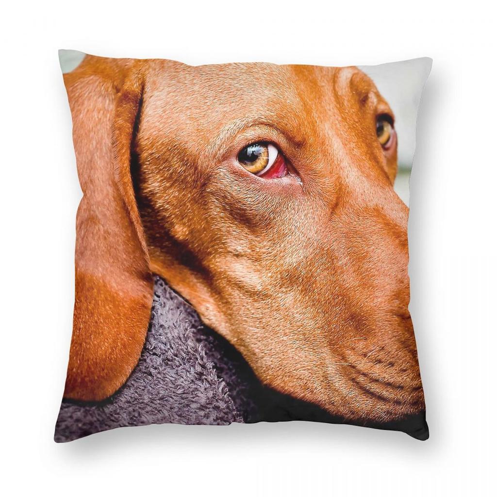 The Eyes Have It Vizsla Hond Kussensloop Polyester Linnen Fluweel Patroon Rits Decoratief Bank Zitkussenhoes