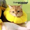 Adjustable Anti-Scratch & Anti-Bite Cat Elizabethan Collar for Sterilization
