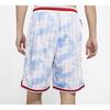 Nike Printed Basketball Training Shorts Men Bottoms Light-Blue BV9444-436