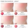 Visee Foggy On Cheeks N PK820 Flower Pink 5g