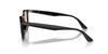 Sunglasses RB4258F BLACK 52 Ray-Ban
