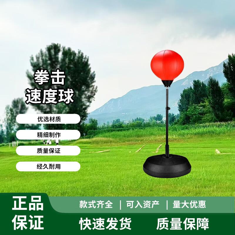 Chongye Freestanding Boxing Speed Ball