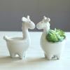 Kawaii Giraffe Blumentopf Sukkulenten Topf Keramik Desktop Topf Übertopf Bonsai Kunst Vase Wohnkultur Büro Dekoration Blumentopf Garten Liefert