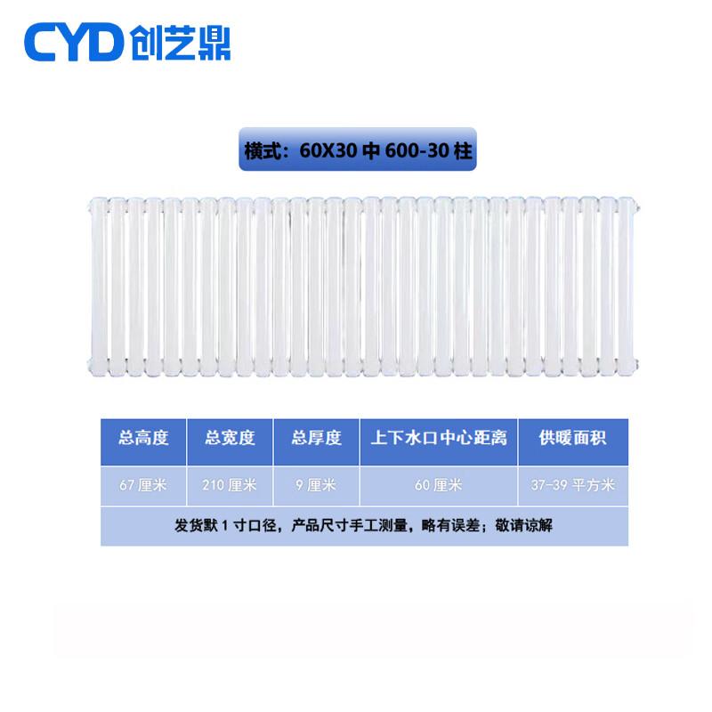 Chuang Yi Ding Steel 6030 Two-Column Hot Water Radiator