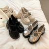 Mary Jane kleine Lederschuhe Damen 2025 Frühling neu dicksohlige erhöhende Schleife mit Rock dicker Absatz hoher Absatz einzelne Schuhe