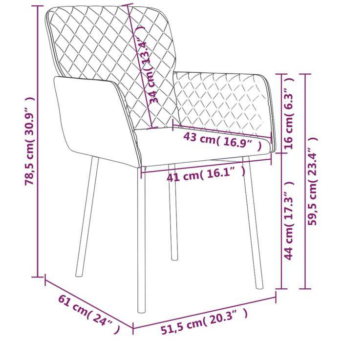 VidaXL 2x Chaises de Salle à Manger Fauteuils à Dîner Chaises de Cuisine Sièges à Dîner Chaises de Repas Restaurant 344781