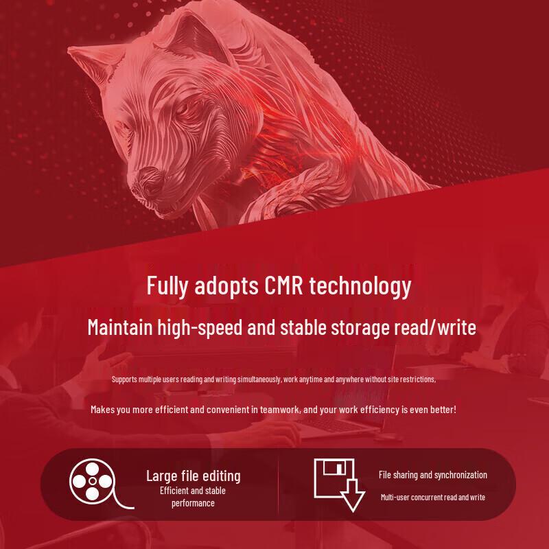 Seagate IronWolf 12TB NAS Hard Drive