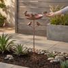 Rustproof Metal Freestanding Birdbath 5 Claw Ground Plug Bird Feeding Station  Lawn Backyard