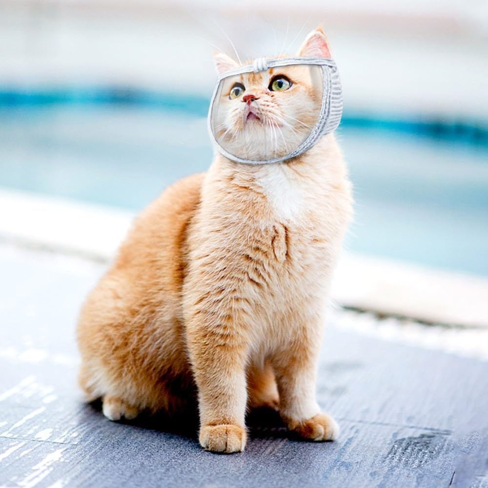 Cat Muzzle, Breathable Cat Face Cover Transparent Anti Bite Face Protection for Nail Trimming Bathing