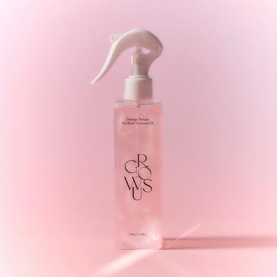 Damage Therapy No Wash Treatment 250 ml (ERNEUERUNG)