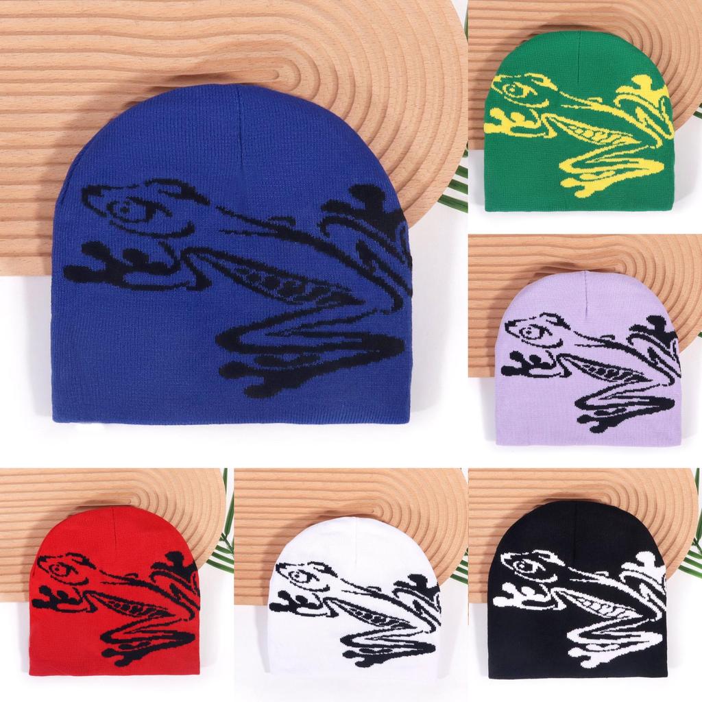 Autumn Winter Acrylic Beanie Hat With Frog Design For Casual Street Style
