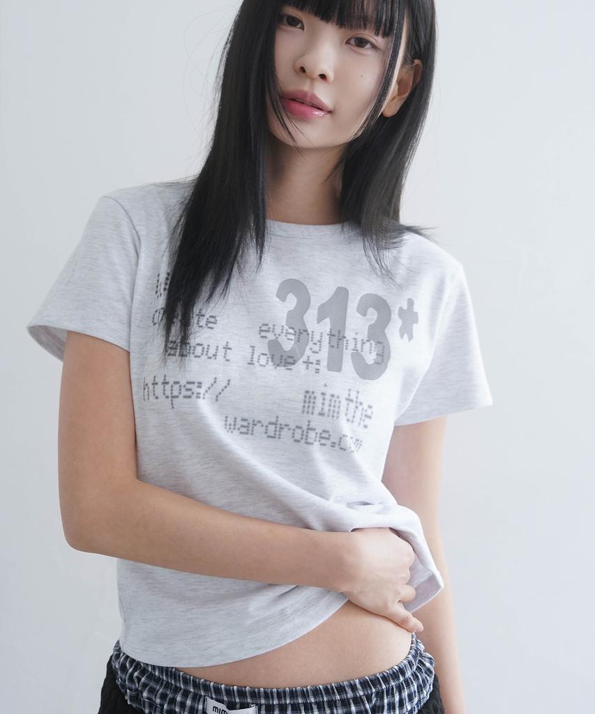 Mimdeowodeulobeu 313 Printed Crop T-Shirt_Gray
