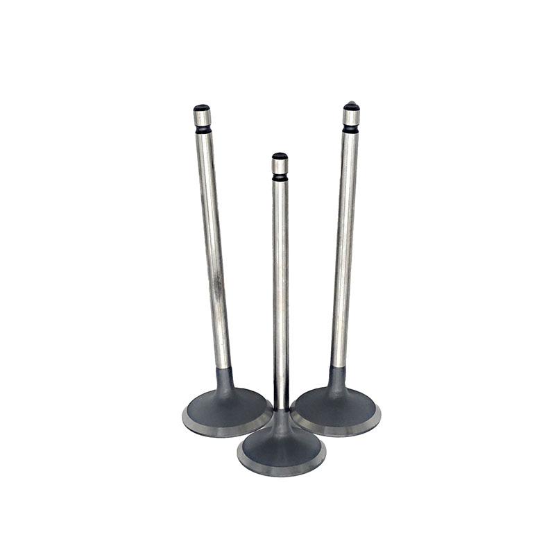 Suitable for Toyota Highlander(2GR 3.5L) 2009-2019 Tacoma Avalon Camry(3.5L) 2017-2019 Exhaust Valve