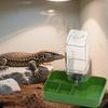 Distributeur d'eau automatique pour reptiles, abreuvoir, gamelle pour nourriture, pour gecko, caméléon