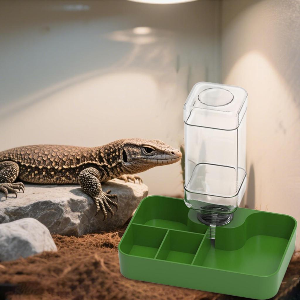 Distributeur d'eau automatique pour reptiles, abreuvoir, gamelle pour nourriture, pour gecko, caméléon