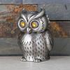 Eulenform Spardosen Dekorative Metall Münzaufbewahrung Organizer Glas mit leicht zugänglicher Basis Kindersicherheit Abgerundetes Design