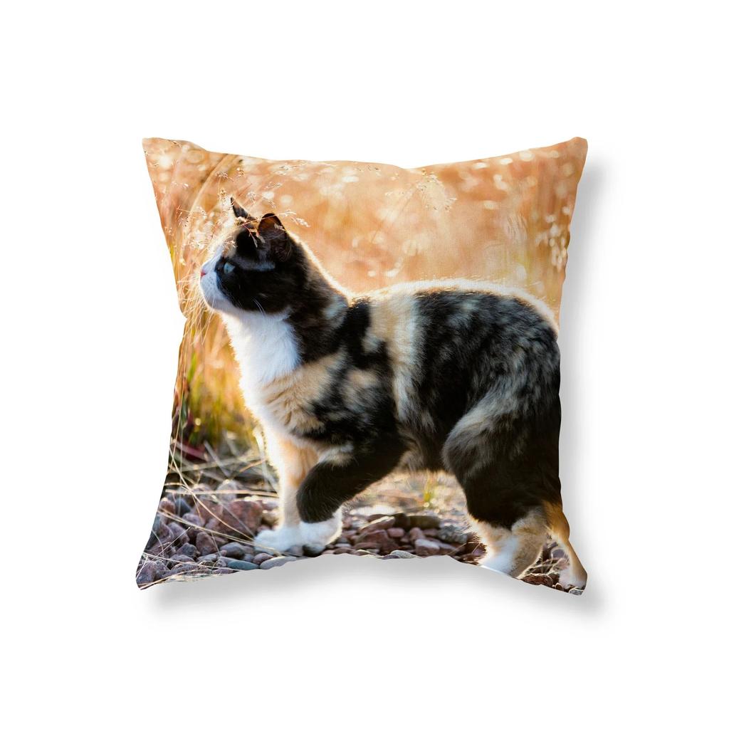 Cute Funny Black Cat Sofa Car Decoration Office Game Chair Cushion Cover Room Home Pillowcase