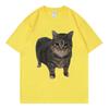 Oiia Oia Cat Funny Meme T Shirt Unisex Unisex Clothing High Street Fashion Trend Tshirt Summer Casual Loose Short Sleeve Tshirts
