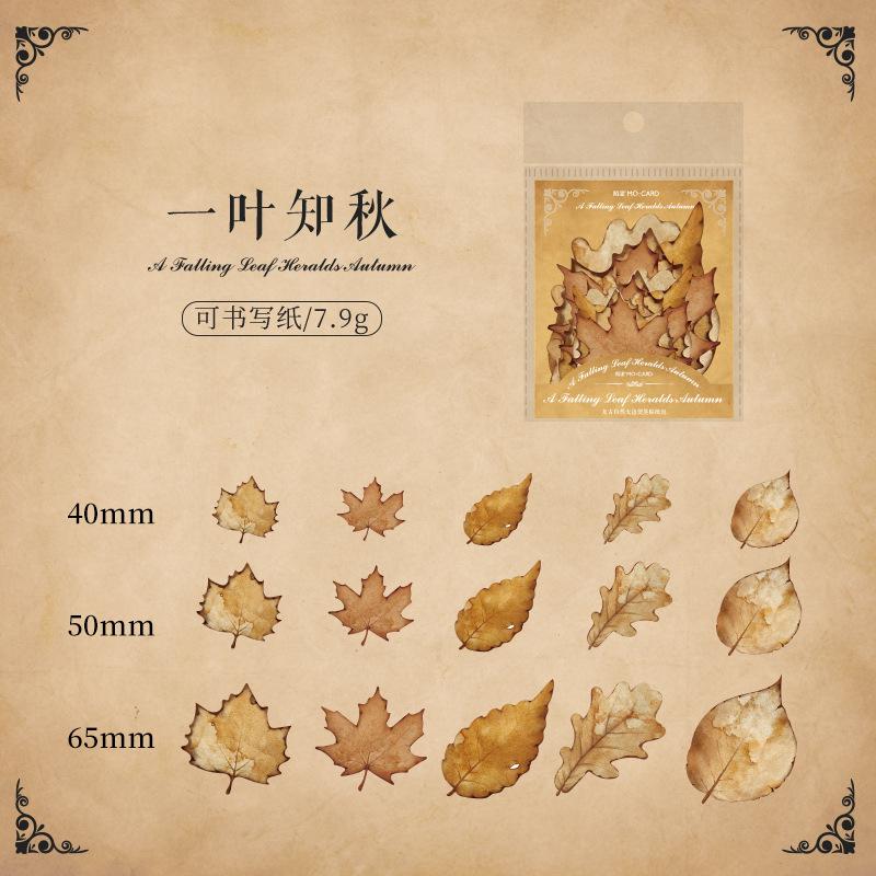 15-Sheet Retro Brown Plant Leaf Specimen Stickers, Decorative for Journal Collage & DIY Crafts