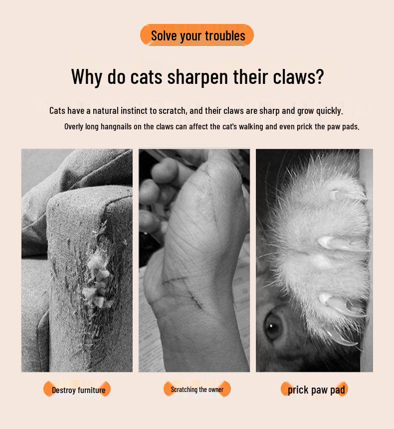 Wear-Resistant Felt Cat Climbing & Scratching Mat – Lint-Free Wall Sticker for Kittens and Cats