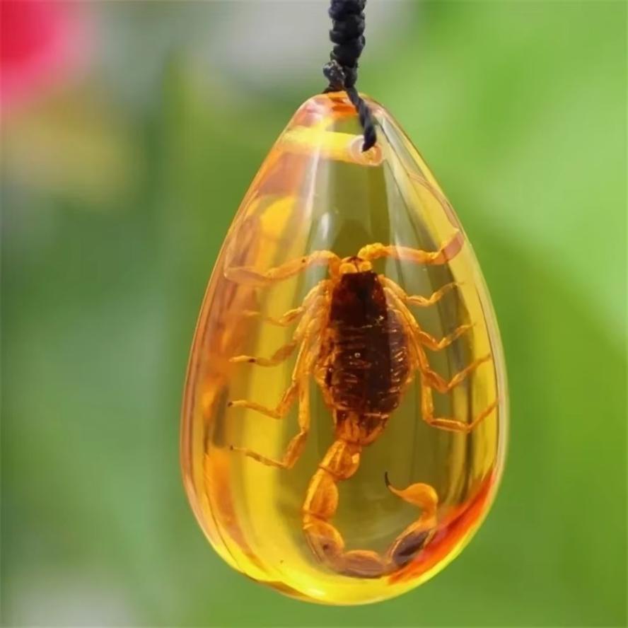 1 Pcs Pendant Necklace Charms Home Decorative Stone Travel Gift Resin Handmake Jewelry Amber Natural Insects