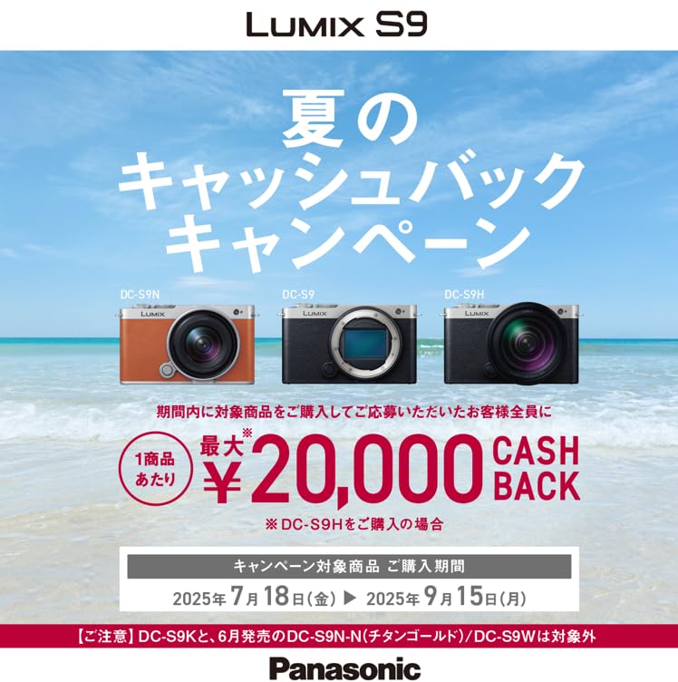 Panasonic Lumix Mirrorless Dark Silver S9-S Full-Frame Camera, Body, DC-S9-S