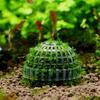 Moss Hemisphere Colonization Ball Aquarium Shrimp Fish Tank Moss Balls Holder Freshwater Live Plants Shaping Ball with Filter Stone