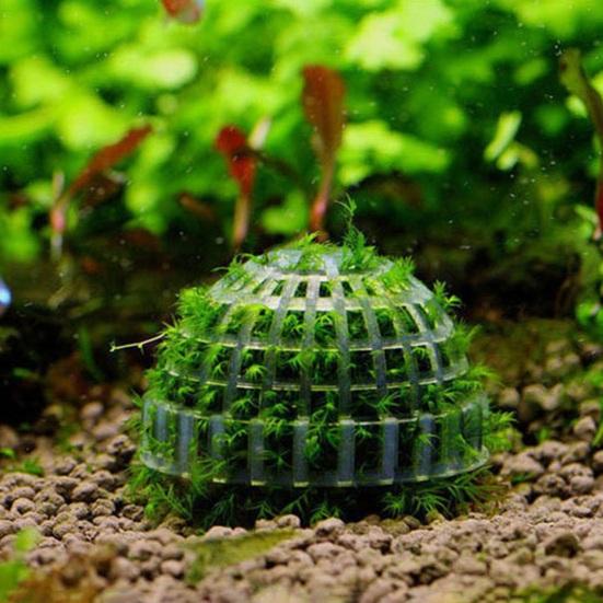 Moss Hemisphere Colonization Ball Aquarium Shrimp Fish Tank Moss Balls Holder Freshwater Live Plants Shaping Ball with Filter Stone