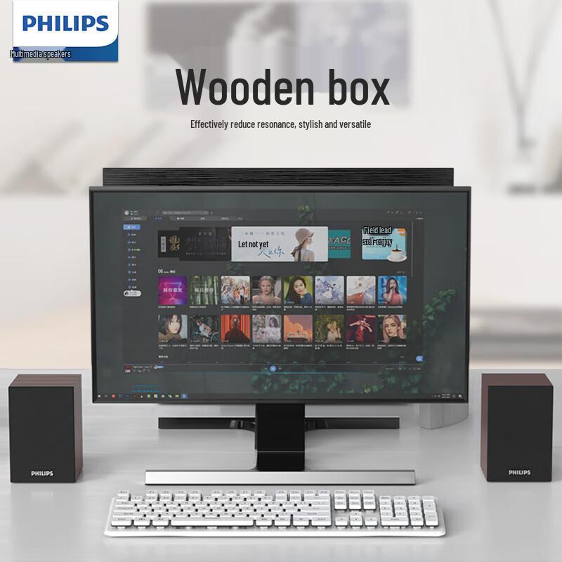Philips SPA20 Wooden USB Desktop Speaker