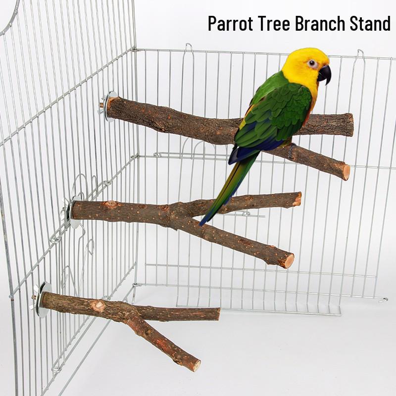 Parrot Dual Branch Wooden Perch & Claw Grinder