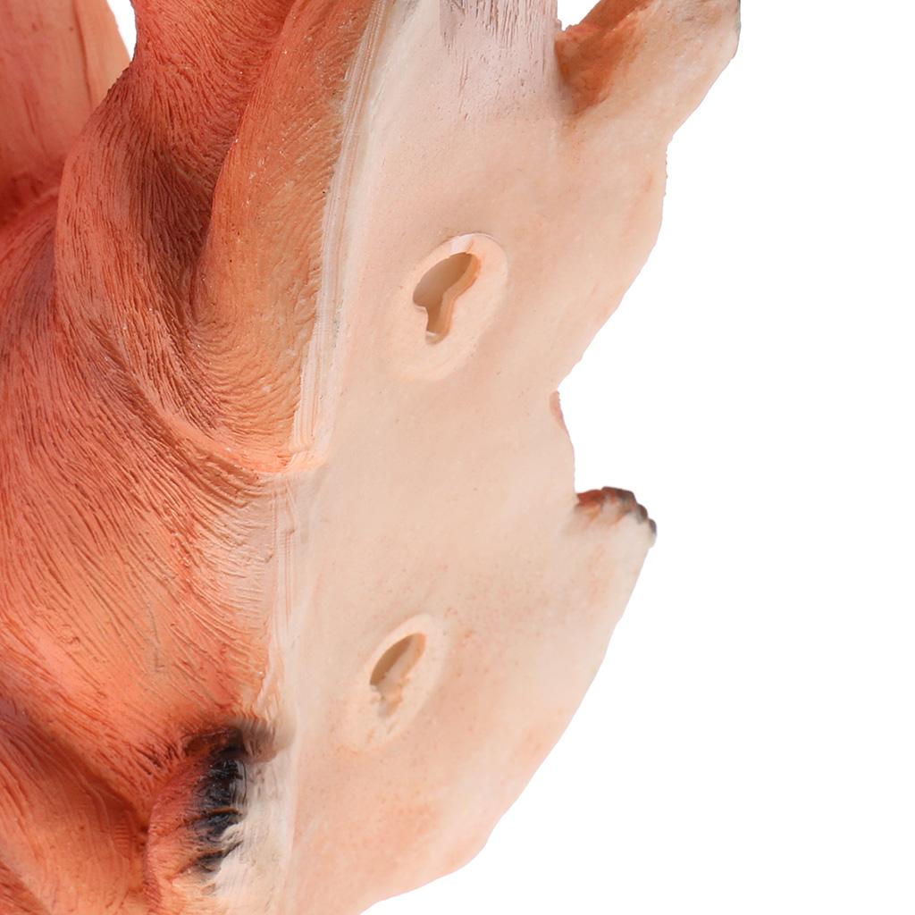 Realistic Squirrel Sculpture Resin Figurine Lawn Ornament Garden Decor for Outdoor Home Table Decoration