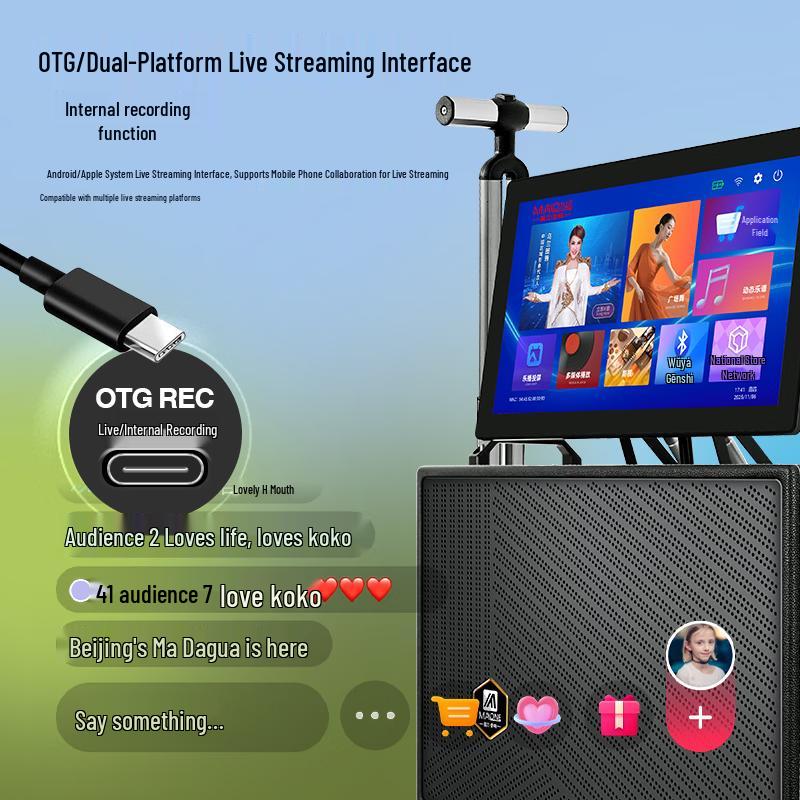 MALONE GT-912 Portable Karaoke Speaker with Display CN Plug (adapter Included) (CN Version)