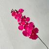 Orquídeas polilla artificiales de 9 cabezas, flores de seda falsas realistas, centro de mesa para bodas, fiestas, hogar, oficina, decoración de ramas florales de Phalaenopsis falsa