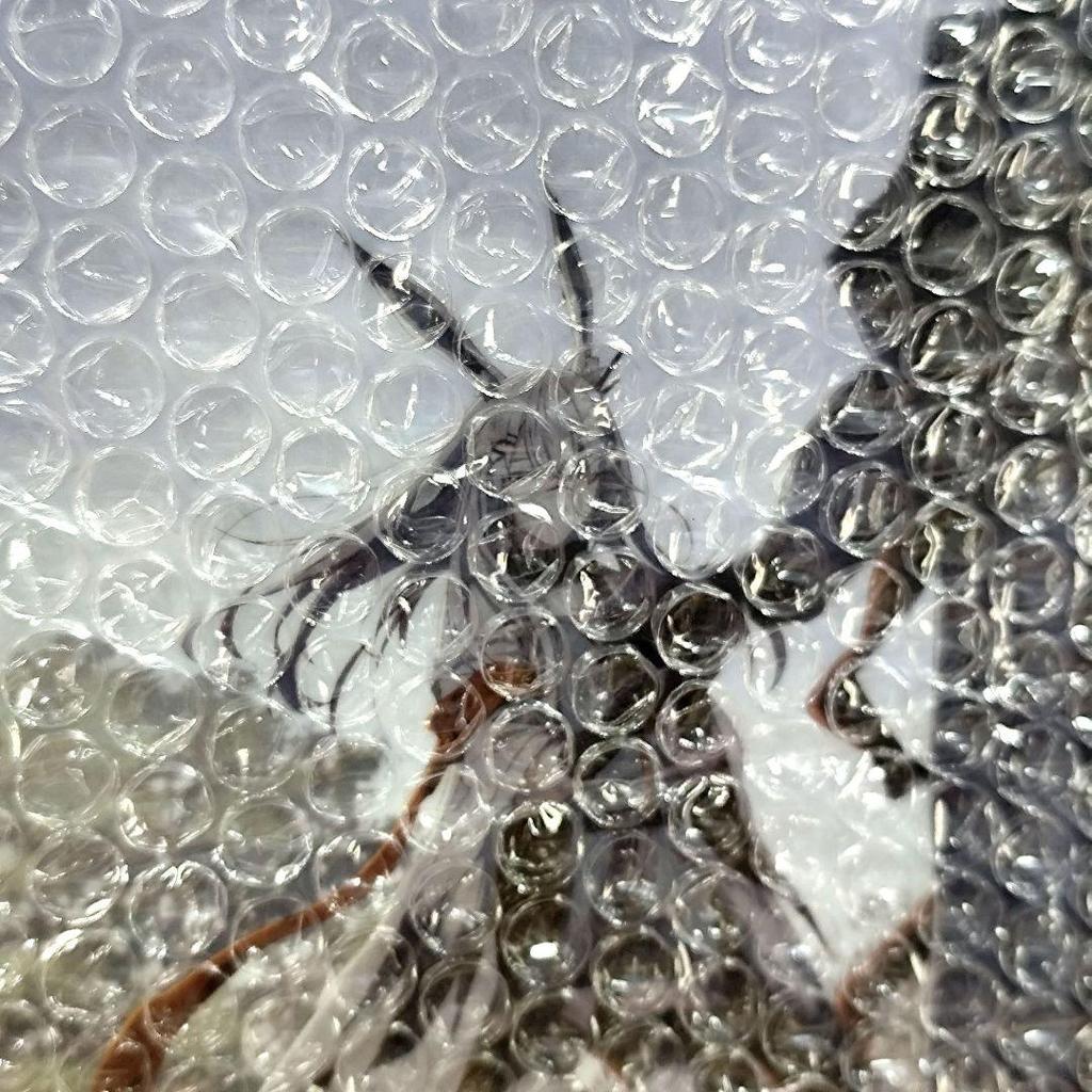 [USED] Arknights A4 Acrylic Plate Winter Hidden Return Purchase Bonus