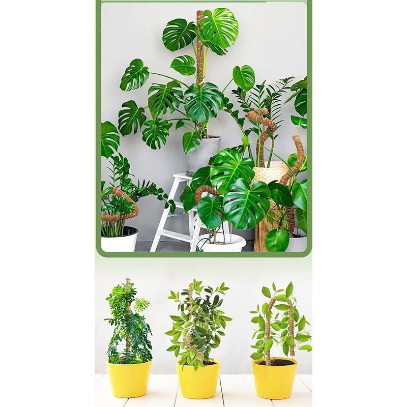 1Pcs Moss Pole Plant Support - Plant Trellis Moss Pole For Plants Monstera - Moss Poles For Climbing Plants Plant Sticks Support