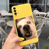 Cute Cat Case For Xiaomi Redmi 9T Phone Case on Redmi 9T Soft Silicone Back Covers For Xiaomi Redmi 9T 9 T Coque Fashion Bumper