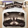 Magic Raccoon Pattern Bedding Quilt Set Quilt Cover Pillowcase Home Decoration Birthday Gift (1 * duvet cover + 2 * pillowcase, without core)