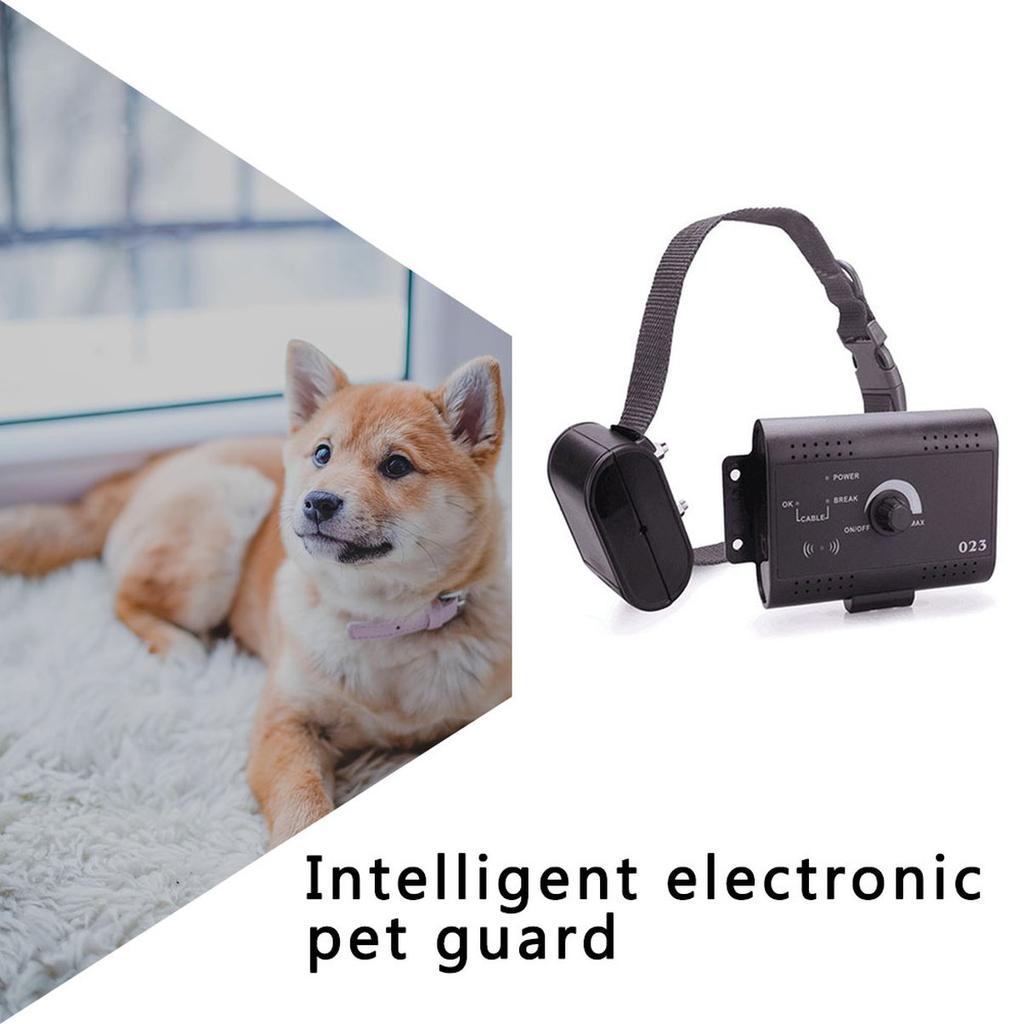 shock collar and fence