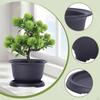 Bonsai Pot Flower Planter Training Bowl with Drainage System And Moisture Storage Made of PP for