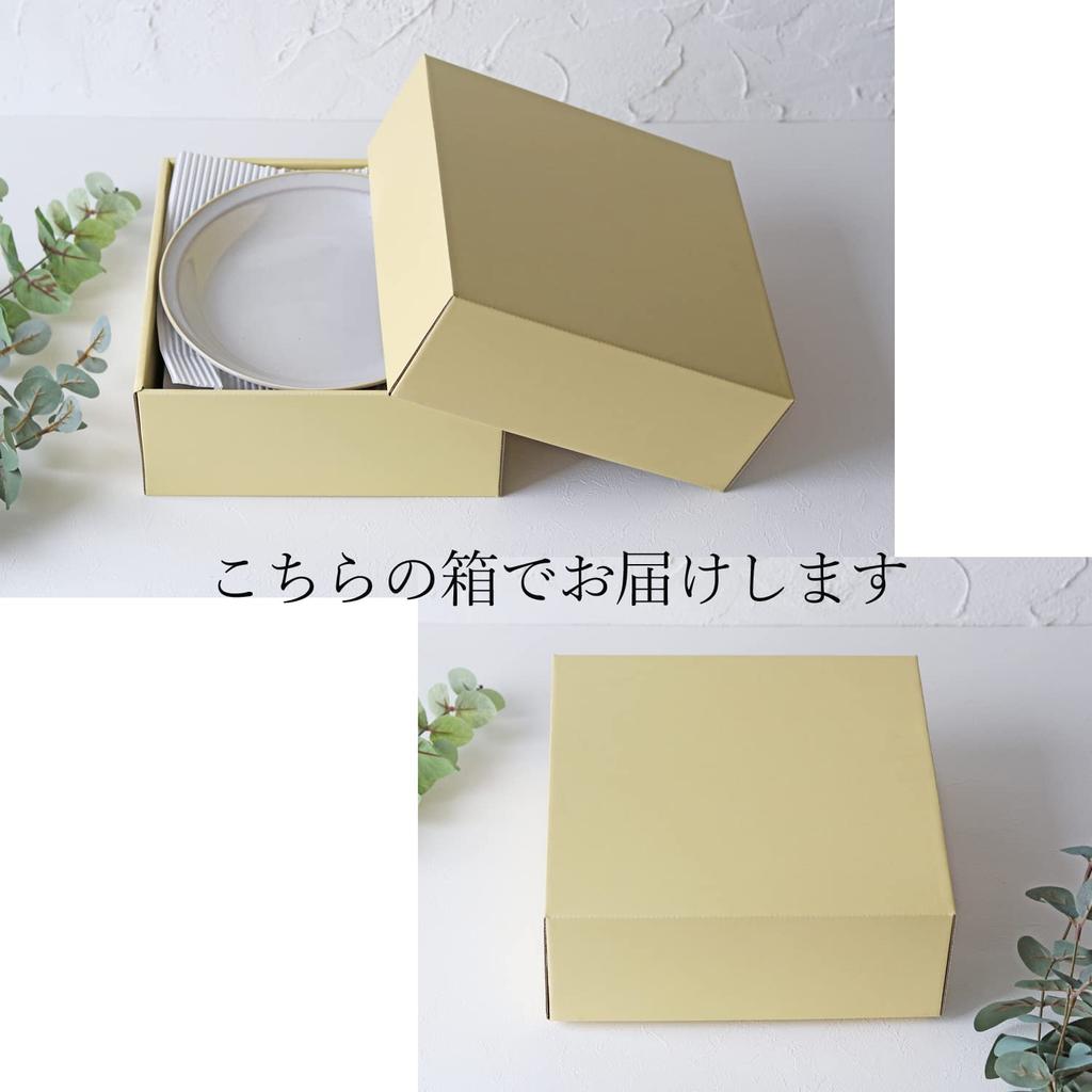 Curry Pasta Large Diameter 4 Pieces Dishwasher Made in Mino [Dolce duo] Plate, Plate, Plate, 22.3cm, (Boxed), Plate, Microwave, Safe, Japan, Ware,