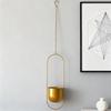 European Wrought Iron Hanging Hydroponic Planter for Spider Plants