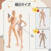 Drawing Male Female Model with Stand by Professional Manga for Manga and Muscle Drawing Sketch Drawing Art Educational Male Doll, 30-Jointed, &
