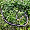 Soft Rubber Toy Snake Black Simulation Snake Realistic Halloween Garden Prank 80cm Prop Fake Snake Scary Intimidating Prank Toy