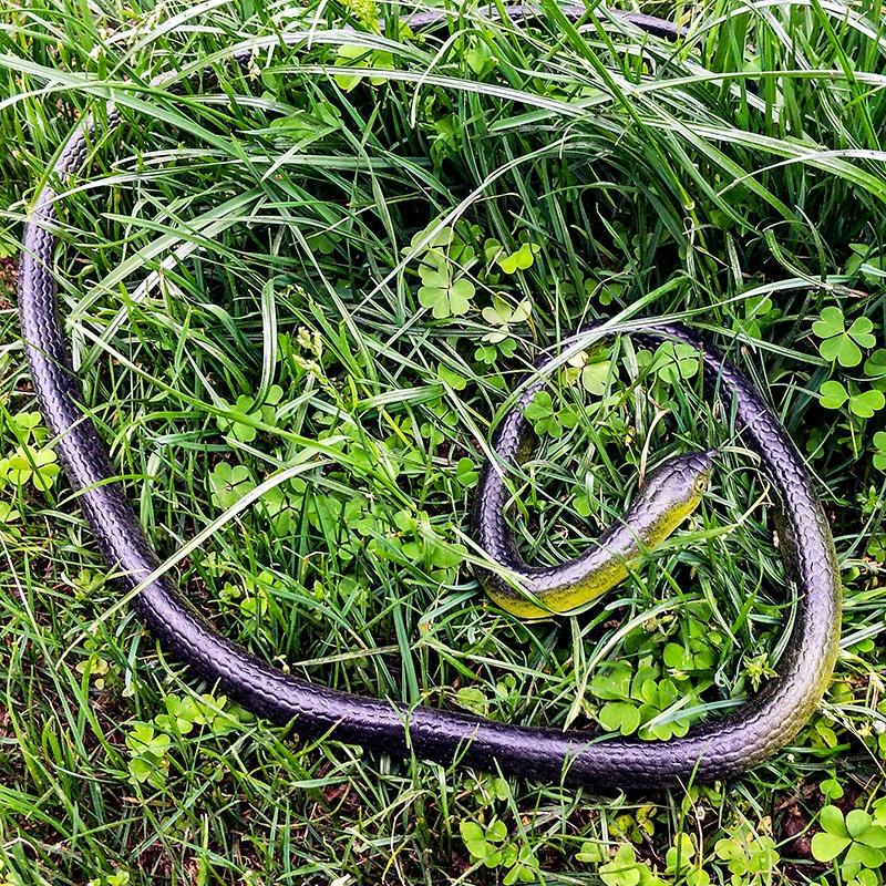 Soft Rubber Toy Snake Black Simulation Snake Realistic Halloween Garden Prank 80cm Prop Fake Snake Scary Intimidating Prank Toy